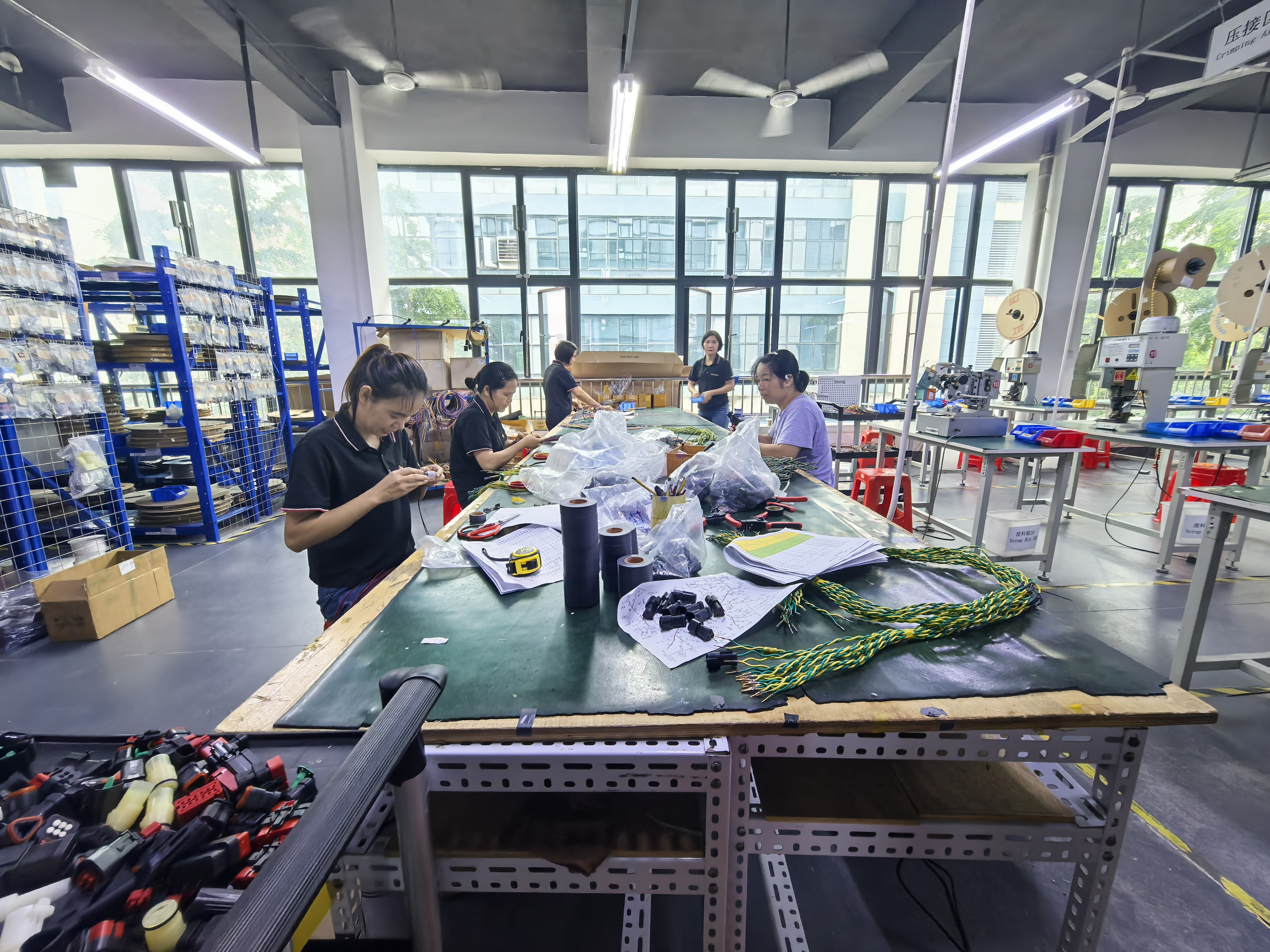 Female Workers Assembling Wiring Harnesses